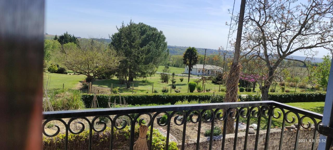 Luxury B&B Maison A Votre Sante, In Bordeaux Wine Region Savignac-de-Duras Buitenkant foto