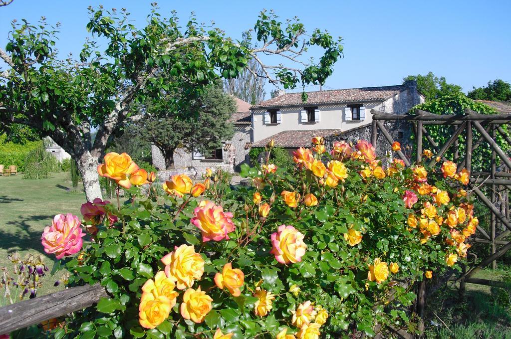 Luxury B&B Maison A Votre Sante, In Bordeaux Wine Region Savignac-de-Duras Buitenkant foto
